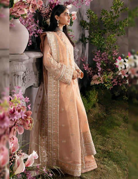 Afrozeh |  La Fuschia Luxury Formals | Sunset Blush