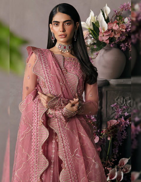 Afrozeh |  La Fuschia Luxury Formals | Salmon