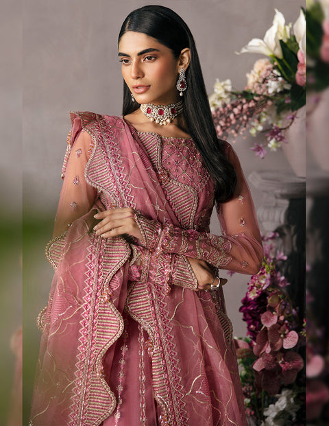 Afrozeh |  La Fuschia Luxury Formals | Salmon