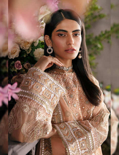 Afrozeh |  La Fuschia Luxury Formals | Sunset Blush