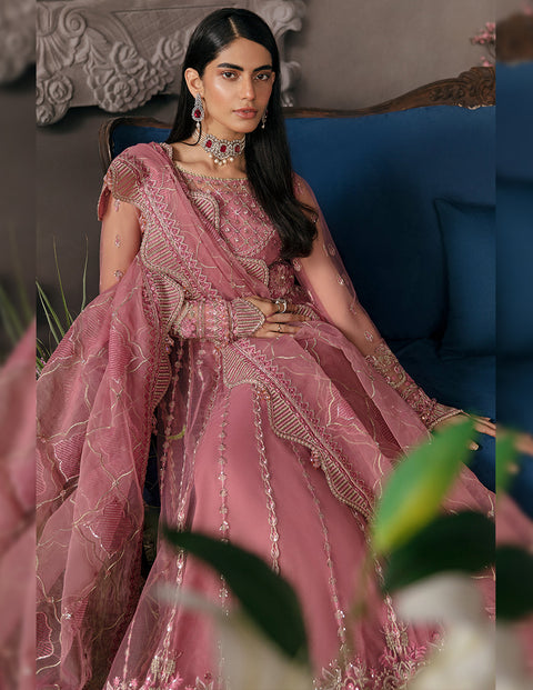 Afrozeh |  La Fuschia Luxury Formals | Salmon
