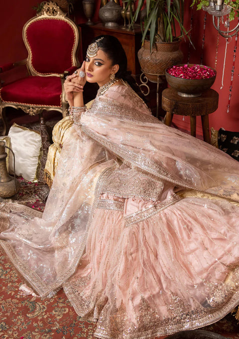 Adan Libas Organza Perfection | 0036