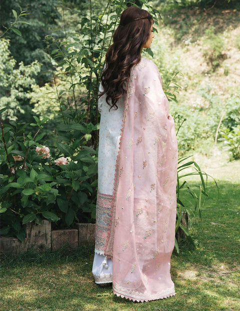 Qalamkar Luxury Festive Lawn 2022 -  NORA  -  EB01