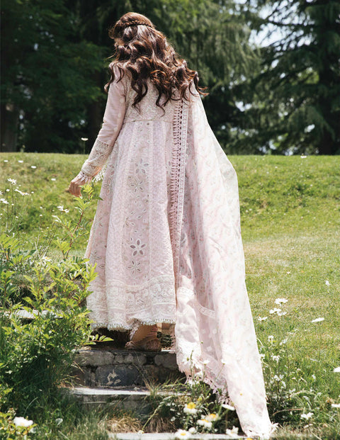 Qalamkar Luxury Festive Lawn 2022 -  DAISY - EB08