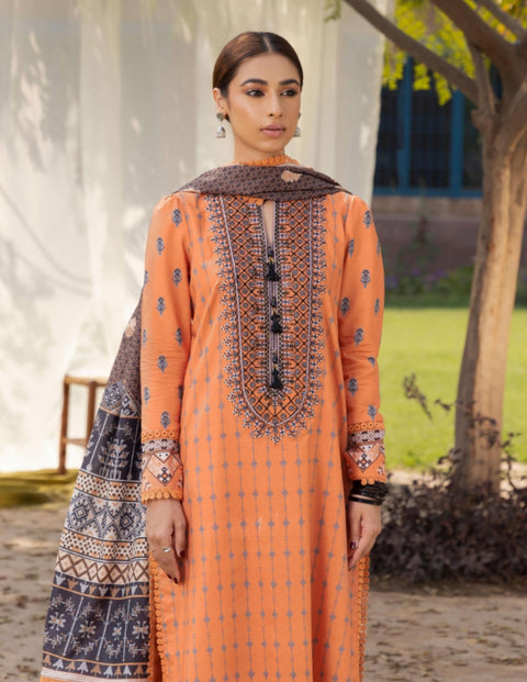 Aabyan Prints 2023 | Amira