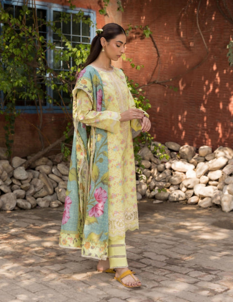Aabyan Prints 2023 | Alyara
